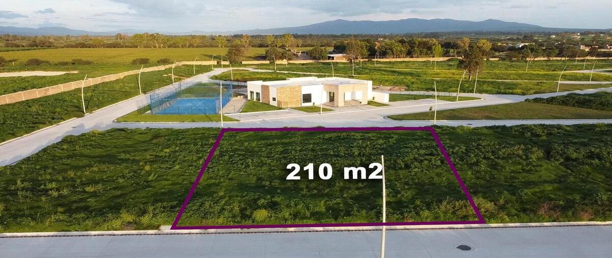 Foto de terreno habitacional en venta en carretera a doctor mora kilometro 3 , santa elena de la cruz (san josé de laguna), san miguel de allende, guanajuato, 28489515 No. 03