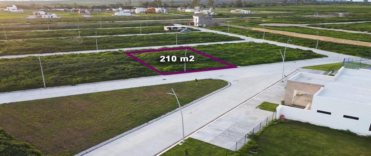 Foto de terreno habitacional en venta en carretera a doctor mora kilometro 3 , santa elena de la cruz (san josé de laguna), san miguel de allende, guanajuato, 28489515 No. 05