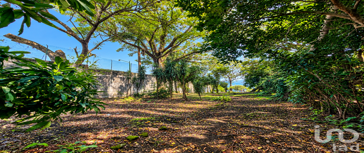 Foto de terreno habitacional en carretera a frente a cortijo sobrevals , el carmen, catemaco, veracruz de ignacio de la llave, 30864664 foto 05 Foto de terreno habitacional en venta en carretera a frente a cortijo sobrevals , el carmen, catemaco, veracruz de ignacio de la llave, 30864664 No. 05