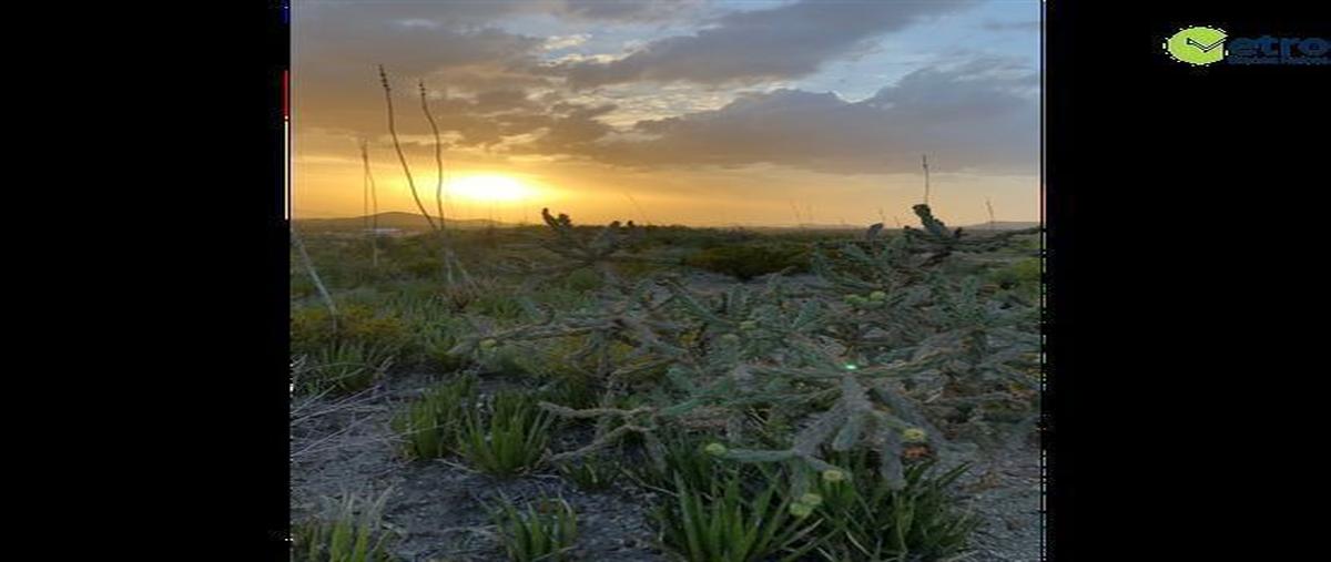 Foto de terreno habitacional en carretera a general cepeda , parras, parras, coahuila de zaragoza, 21460029 foto 01 Foto de terreno habitacional en venta en carretera a general cepeda , parras, parras, coahuila de zaragoza, 21460029 No. 01