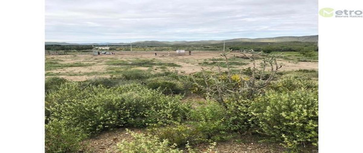 Foto de terreno habitacional en carretera a general cepeda , parras, parras, coahuila de zaragoza, 21460029 foto 04 Foto de terreno habitacional en venta en carretera a general cepeda , parras, parras, coahuila de zaragoza, 21460029 No. 04