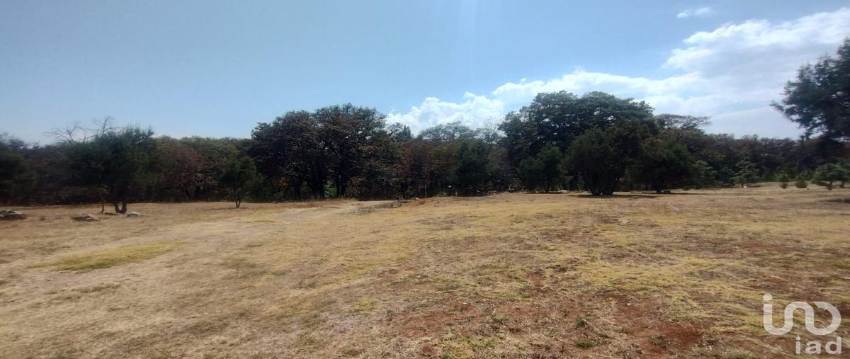 Foto de terreno habitacional en venta en carretera a huasca de ocampo , san josé ocotillos, huasca de ocampo, hidalgo, 0 No. 03