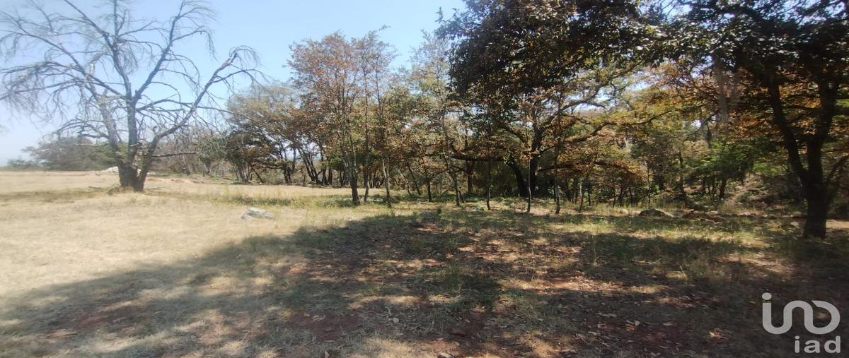 Foto de terreno habitacional en venta en carretera a huasca de ocampo , san josé ocotillos, huasca de ocampo, hidalgo, 0 No. 04