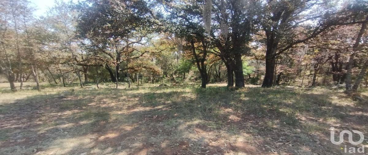 Foto de terreno habitacional en venta en carretera a huasca de ocampo , san josé ocotillos, huasca de ocampo, hidalgo, 0 No. 05