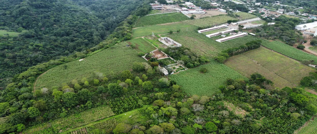 Foto de terreno habitacional en venta en carretera a huatusco , monte salas, fortín, veracruz de ignacio de la llave, 0 No. 03