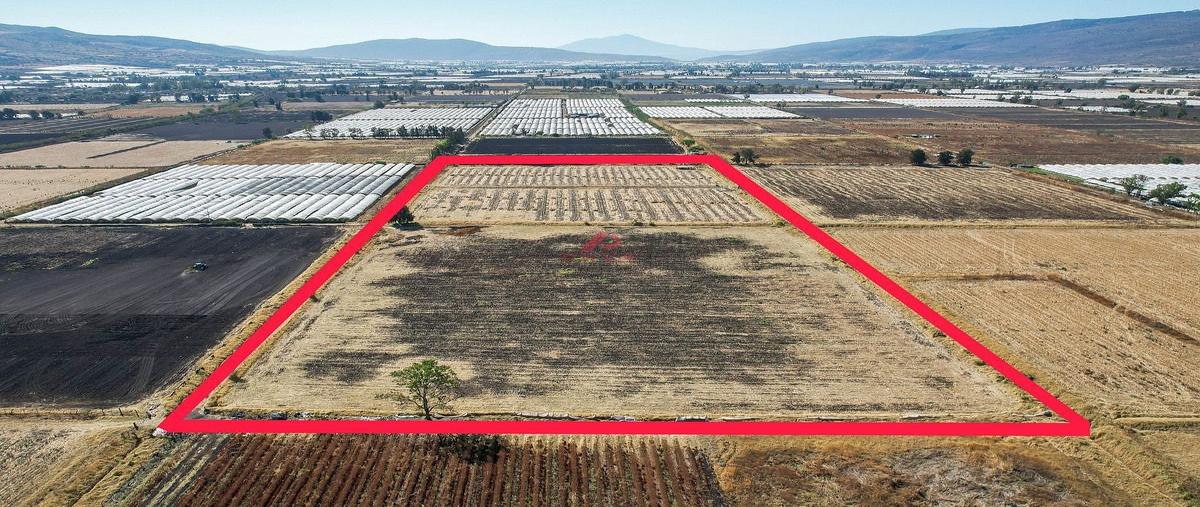 Foto de terreno habitacional en venta en carretera a huejotitlan , zapotitan de hidalgo, jocotepec, jalisco, 30806804 No. 03