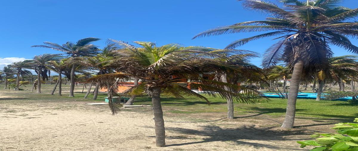 Foto de casa en venta en carretera a la barra de coyuca kilometro 9.5, guerrero , los mogotes, coyuca de benítez, guerrero, 28298407 No. 04