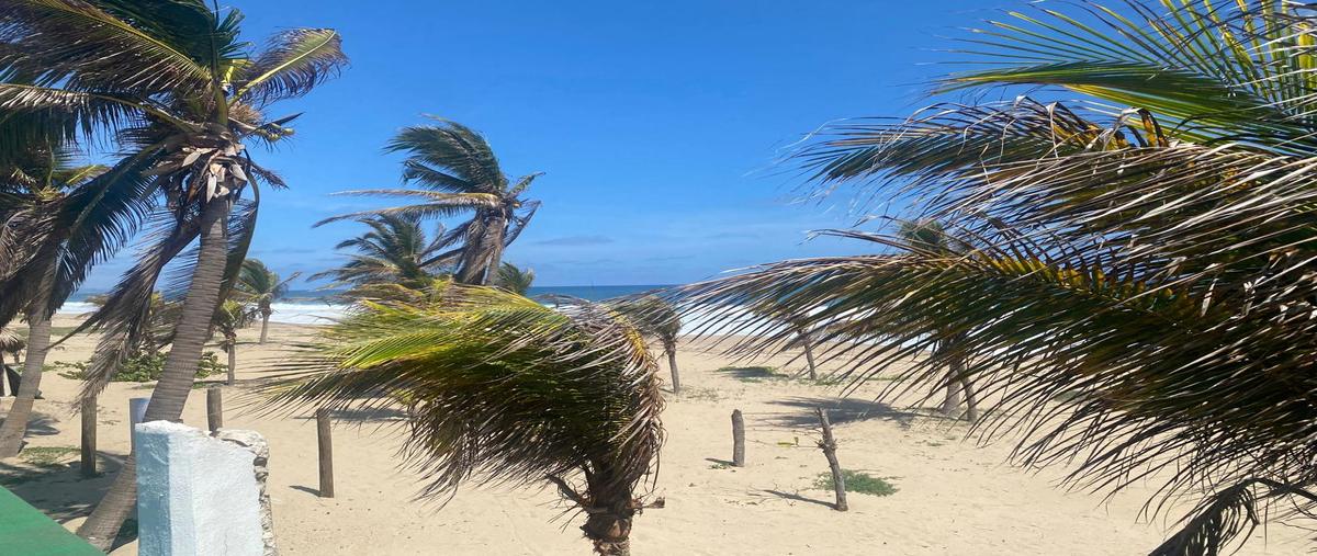 Foto de casa en venta en carretera a la barra de coyuca kilometro 9.5, guerrero , los mogotes, coyuca de benítez, guerrero, 28298407 No. 05