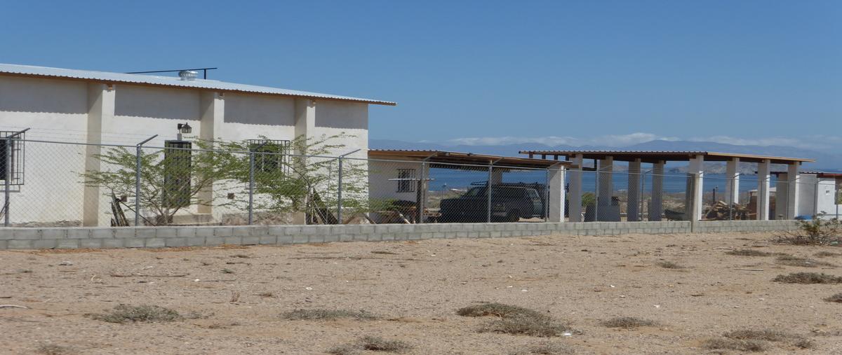 Foto de rancho en venta en carretera a la gringa , lomas de los ángeles, san quintín, baja california, 30471218 No. 03