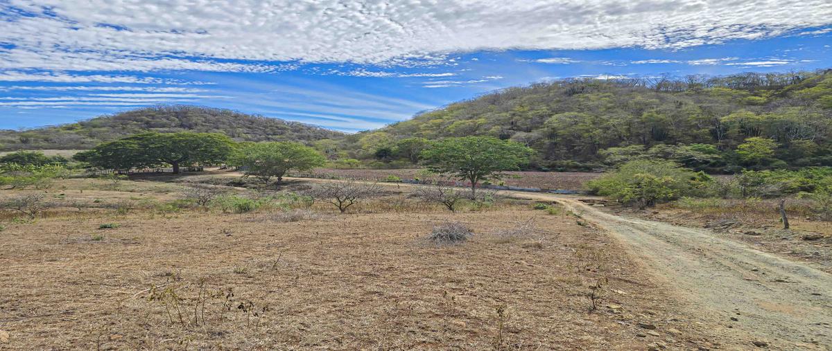 Foto de terreno habitacional en venta en carretera a la noria , el habal, mazatlán, sinaloa, 29325100 No. 03