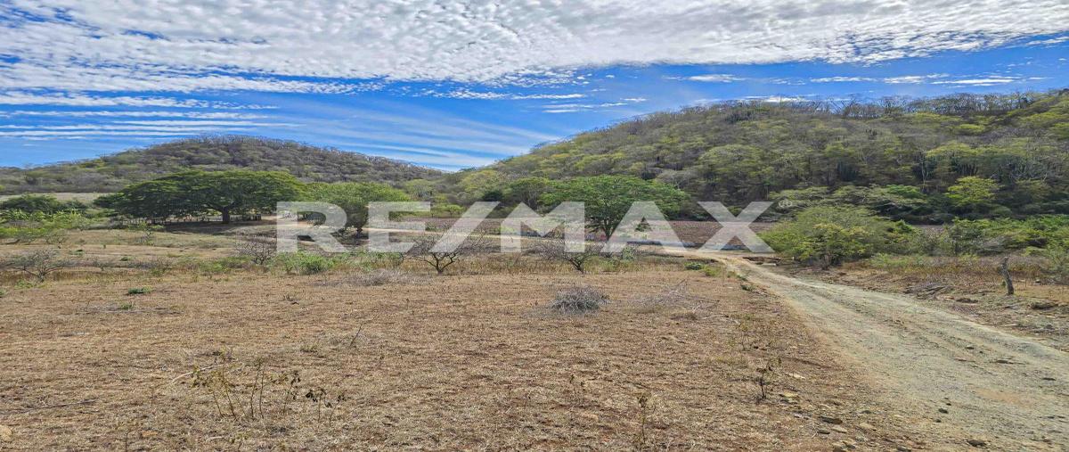 Foto de terreno habitacional en venta en carretera a la noria , el habal, mazatlán, sinaloa, 0 No. 03
