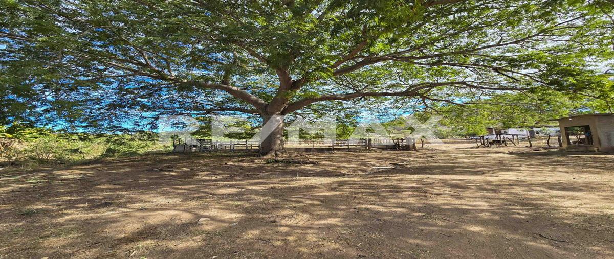 Foto de terreno habitacional en venta en carretera a la noria , el habal, mazatlán, sinaloa, 0 No. 04