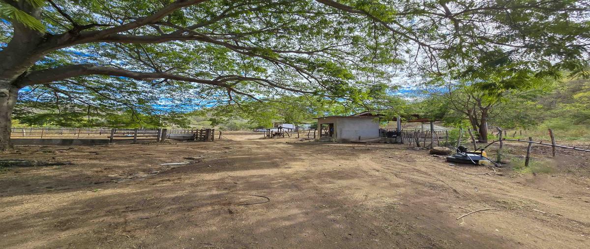 Foto de terreno habitacional en venta en carretera a la noria , el habal, mazatlán, sinaloa, 29325100 No. 05