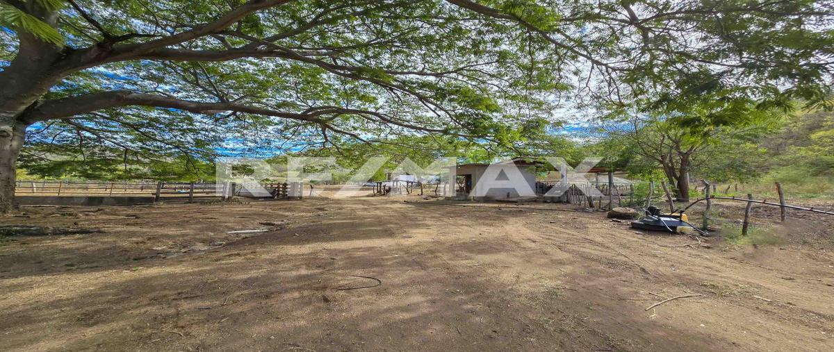 Foto de terreno habitacional en venta en carretera a la noria , el habal, mazatlán, sinaloa, 0 No. 05