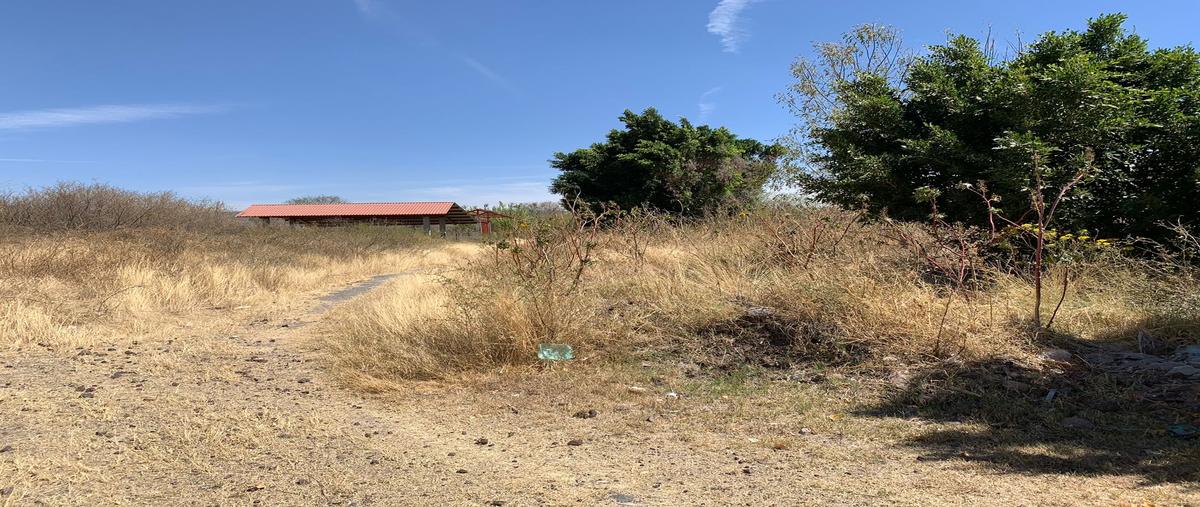 Foto de terreno habitacional en venta en carretera a la ordeña s/n fraccionamiento las puertas , la ordeña, salamanca, guanajuato, 26179902 No. 03
