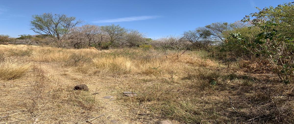 Foto de terreno habitacional en venta en carretera a la ordeña s/n fraccionamiento las puertas , la ordeña, salamanca, guanajuato, 26179902 No. 04
