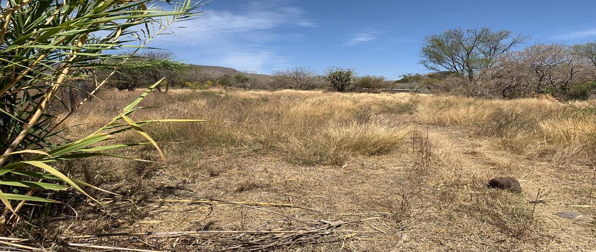 Foto de terreno habitacional en venta en carretera a la ordeña s/n fraccionamiento las puertas , la ordeña, salamanca, guanajuato, 26179902 No. 05