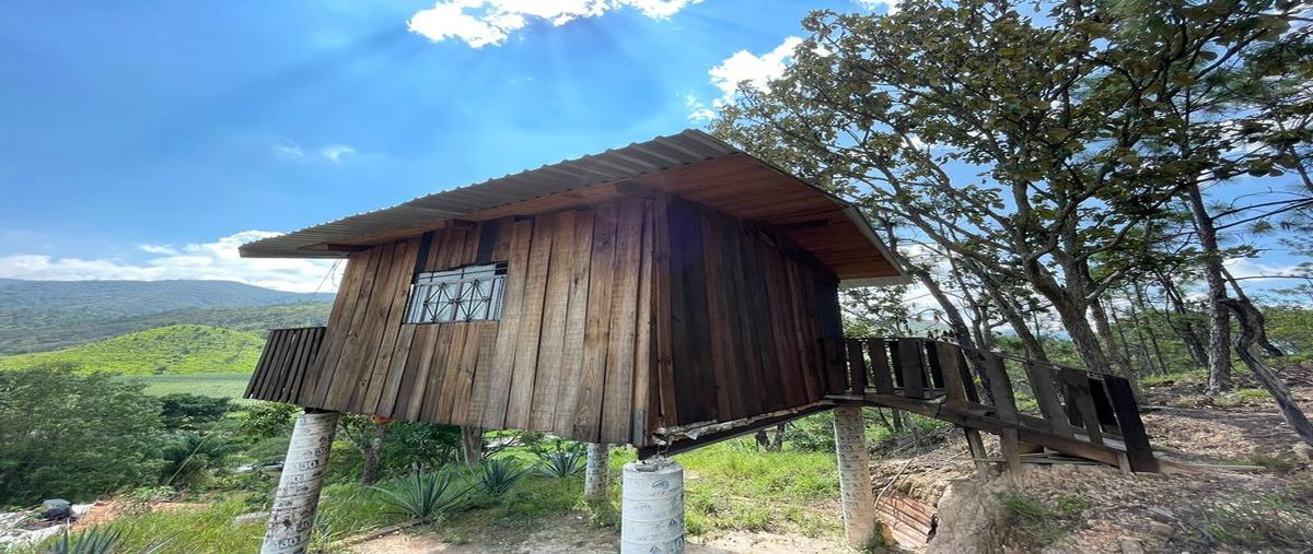 Foto de rancho en venta en carretera a lacuesta km, 9, la cuesta, talpa de allende, jalisco, 0 No. 05
