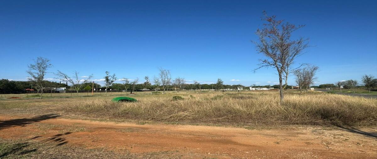 Foto de terreno habitacional en venta en carretera a los lirios , los arcángeles, montemorelos, nuevo león, 30379546 No. 05