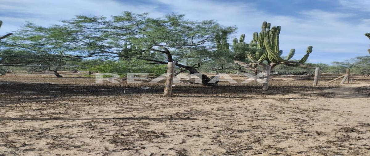 Foto de terreno habitacional en venta en carretera a los planes , gral. juan dominguez cota, la paz, baja california sur, 0 No. 03