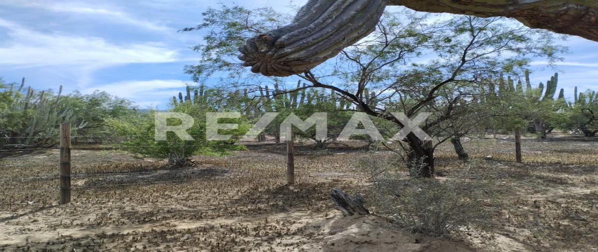 Foto de terreno habitacional en venta en carretera a los planes , gral. juan dominguez cota, la paz, baja california sur, 0 No. 04