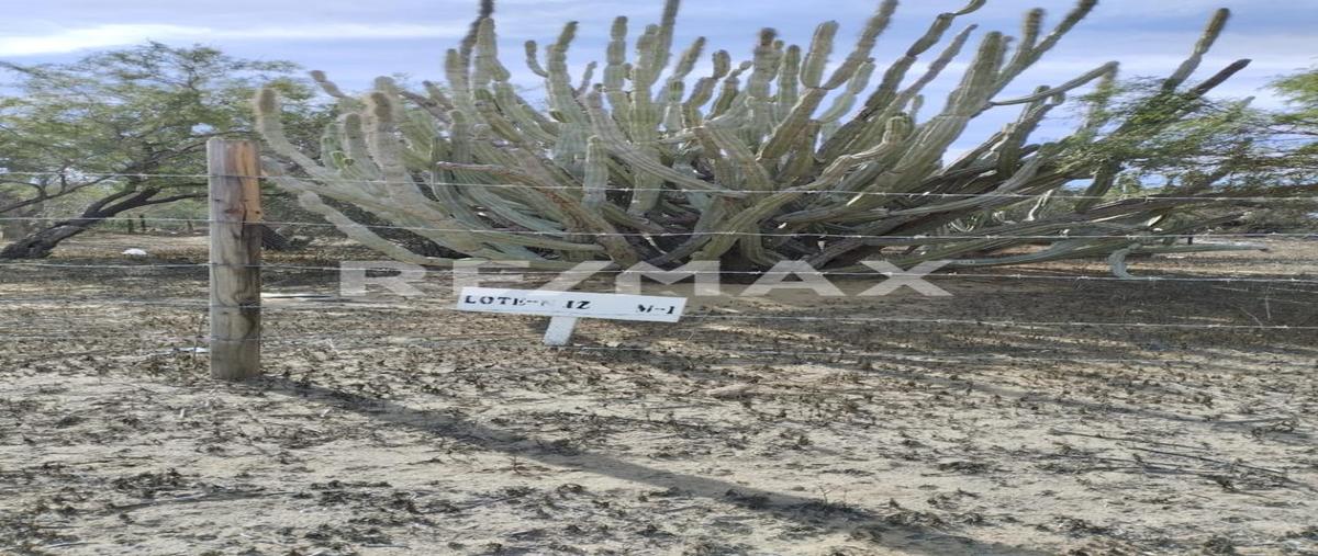 Foto de terreno habitacional en venta en carretera a los planes , gral. juan dominguez cota, la paz, baja california sur, 0 No. 05
