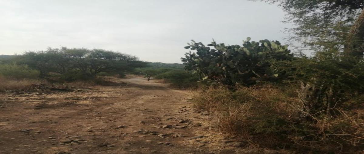 Foto de terreno habitacional en venta en carretera a michimaloya , la malinche, tula de allende, hidalgo, 0 No. 05
