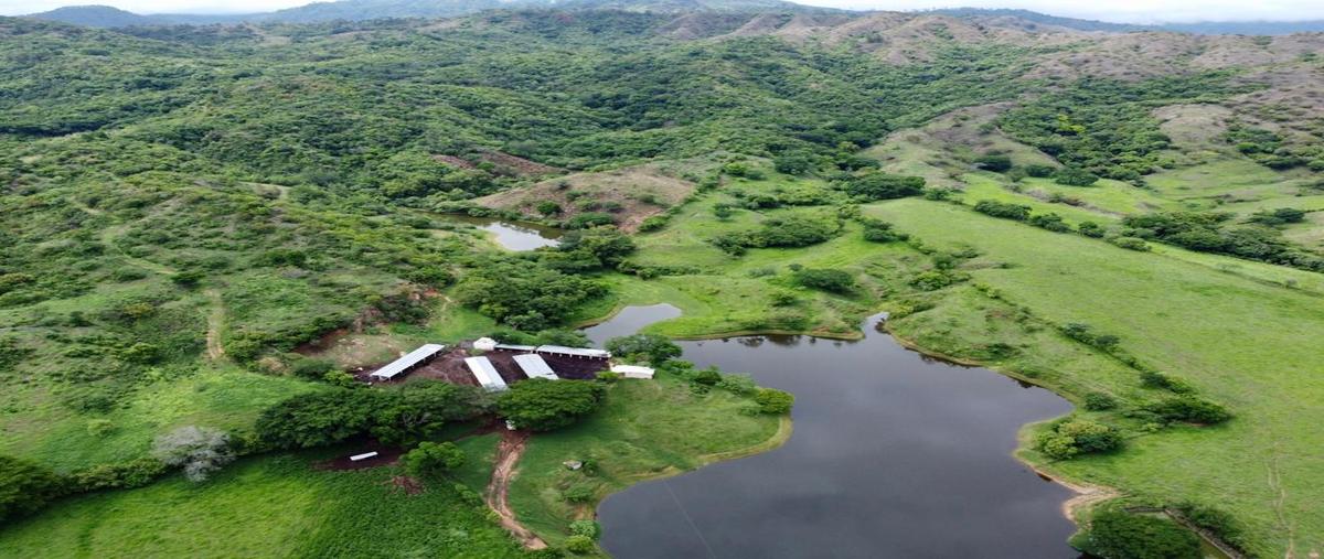 Foto de rancho en carretera a monterrey kilometro 7 , villa corzo, villa corzo, chiapas, 28176368 foto 01 Foto de rancho en venta en carretera a monterrey kilometro 7 , villa corzo, villa corzo, chiapas, 28176368 No. 01