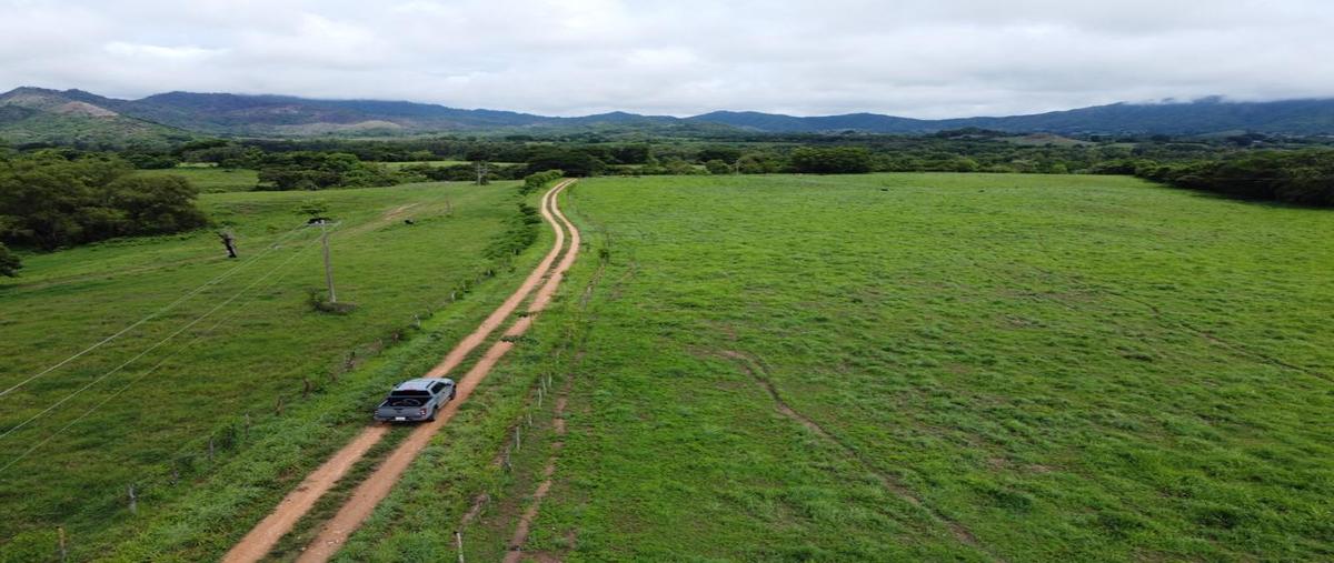 Foto de rancho en carretera a monterrey kilometro 7 , villa corzo, villa corzo, chiapas, 28176368 foto 03 Foto de rancho en venta en carretera a monterrey kilometro 7 , villa corzo, villa corzo, chiapas, 28176368 No. 03