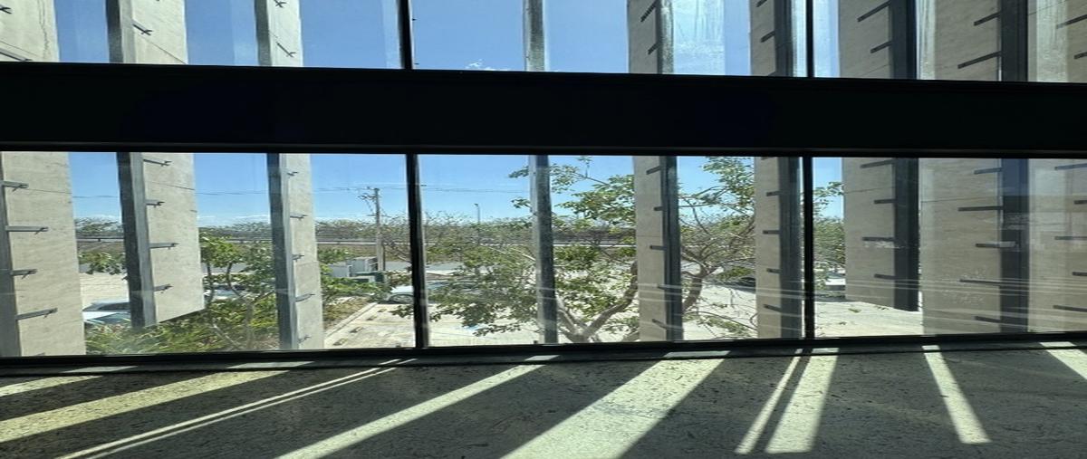 Foto de local en carretera a motul , conkal, conkal, yucatán, 30445517 foto 05 Foto de local en renta en carretera a motul , conkal, conkal, yucatán, 30445517 No. 05