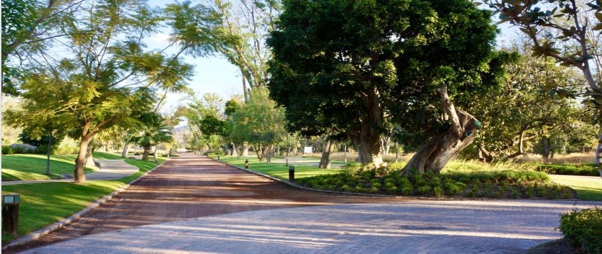 Foto de terreno industrial en venta en carretera a naxatengo , san josé el recreo, atlixco, puebla, 29227303 No. 05