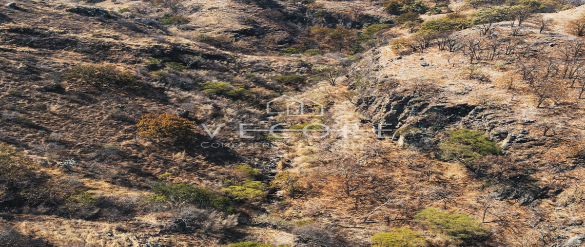 Foto de terreno habitacional en carretera a nextipac , santa lucia, zapopan, jalisco, 28472317 foto 03 Foto de terreno habitacional en venta en carretera a nextipac , santa lucia, zapopan, jalisco, 28472317 No. 03