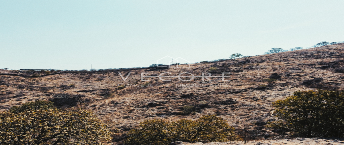 Foto de terreno habitacional en carretera a nextipac , santa lucia, zapopan, jalisco, 28472317 foto 04 Foto de terreno habitacional en venta en carretera a nextipac , santa lucia, zapopan, jalisco, 28472317 No. 04