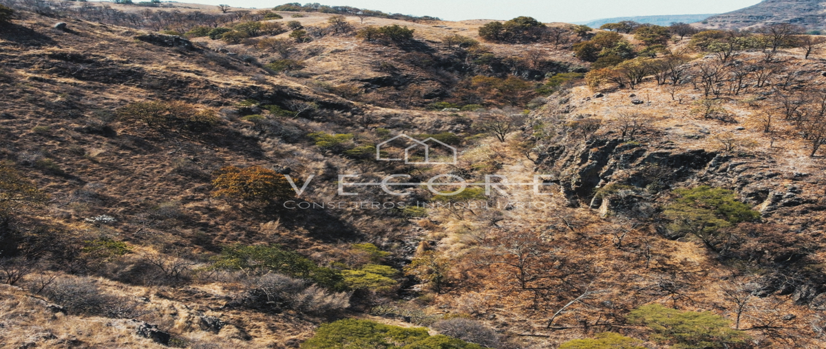 Foto de terreno habitacional en carretera a nextipac , santa lucia, zapopan, jalisco, 28472317 foto 05 Foto de terreno habitacional en venta en carretera a nextipac , santa lucia, zapopan, jalisco, 28472317 No. 05