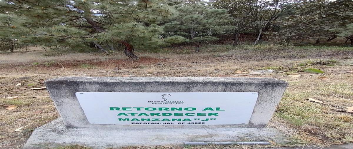 Foto de terreno habitacional en venta en carretera a nogales , el húmedo de nextipac, zapopan, jalisco, 0 No. 03