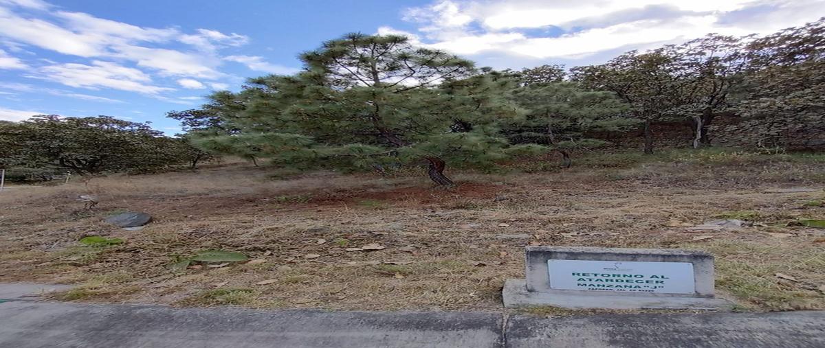 Foto de terreno habitacional en venta en carretera a nogales , el húmedo de nextipac, zapopan, jalisco, 0 No. 04