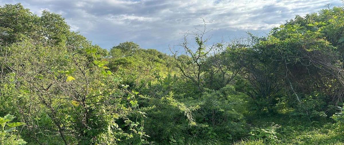 Foto de terreno habitacional en carretera a nogales , nextipac, zapopan, jalisco, 30414001 foto 02 Foto de terreno habitacional en venta en carretera a nogales , nextipac, zapopan, jalisco, 30414001 No. 02