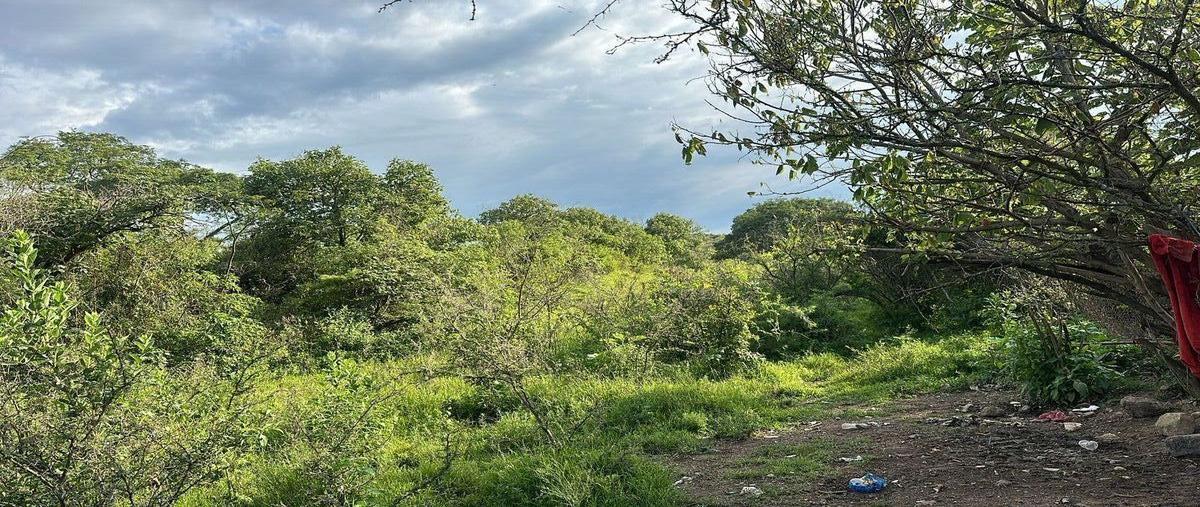 Foto de terreno habitacional en carretera a nogales , nextipac, zapopan, jalisco, 30414001 foto 03 Foto de terreno habitacional en venta en carretera a nogales , nextipac, zapopan, jalisco, 30414001 No. 03