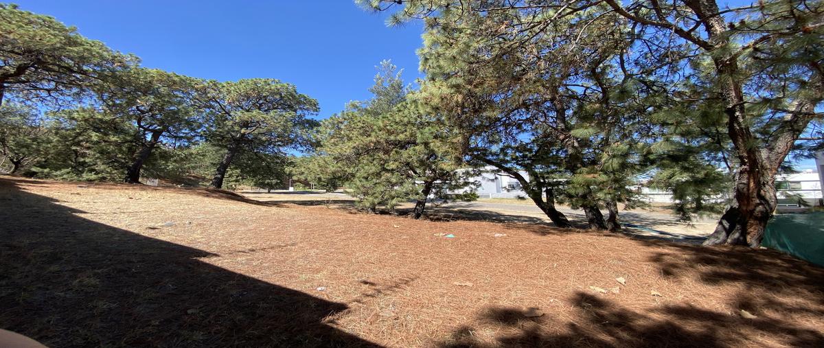 Foto de terreno habitacional en carretera a nogales , pinar de la venta, zapopan, jalisco, 27992199 foto 01 Foto de terreno habitacional en venta en carretera a nogales , pinar de la venta, zapopan, jalisco, 27992199 No. 01