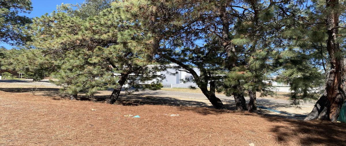 Foto de terreno habitacional en carretera a nogales , pinar de la venta, zapopan, jalisco, 27992199 foto 03 Foto de terreno habitacional en venta en carretera a nogales , pinar de la venta, zapopan, jalisco, 27992199 No. 03