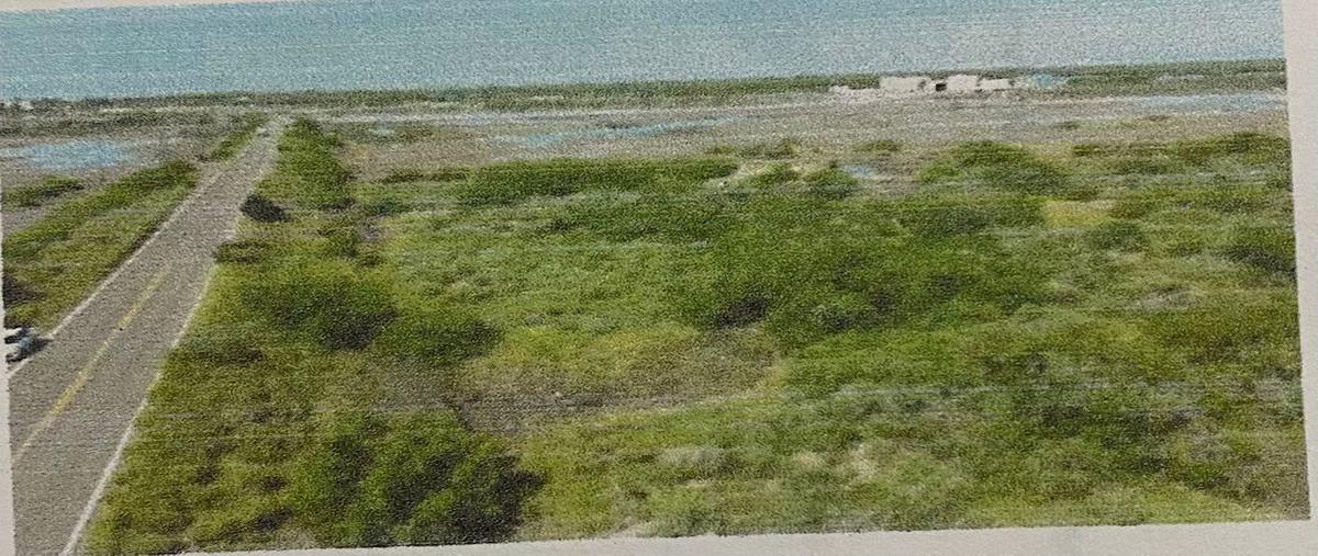 Foto de terreno habitacional en carretera a nuevo altata , la tenería, navolato, sinaloa, 25706562 foto 04 Foto de terreno habitacional en venta en carretera a nuevo altata , la tenería, navolato, sinaloa, 25706562 No. 04