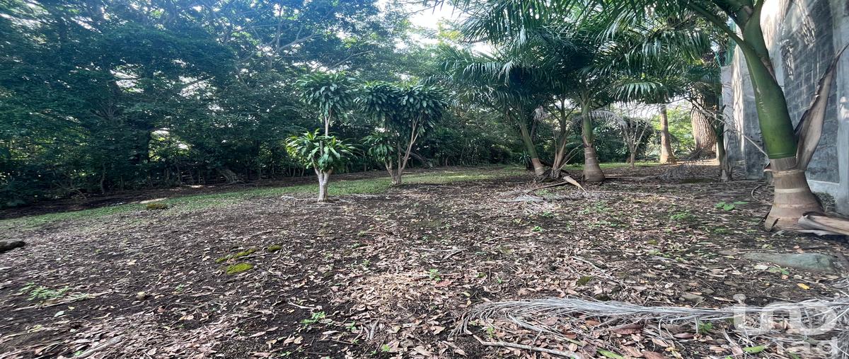 Foto de terreno habitacional en venta en carretera a playa azul frente a cortijo sobrevals , el carmen, catemaco, veracruz de ignacio de la llave, 30864664 No. 04