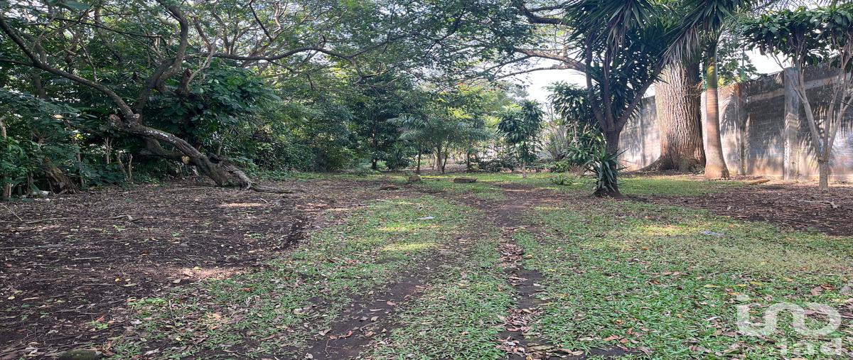 Foto de terreno habitacional en venta en carretera a playa azul frente a cortijo sobrevals , el carmen, catemaco, veracruz de ignacio de la llave, 30864664 No. 05