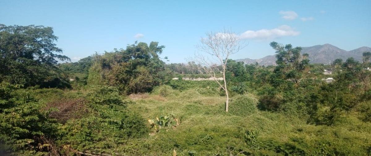 Foto de terreno comercial en carretera a playa encantada , puerto marqués, acapulco de juárez, guerrero, 28174662 foto 02 Foto de terreno comercial en venta en carretera a playa encantada , puerto marqués, acapulco de juárez, guerrero, 28174662 No. 02