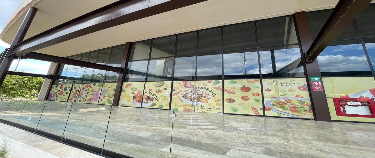 Foto de local en renta en carretera a progreso , rincón colonial, mérida, yucatán, 31070350 No. 03