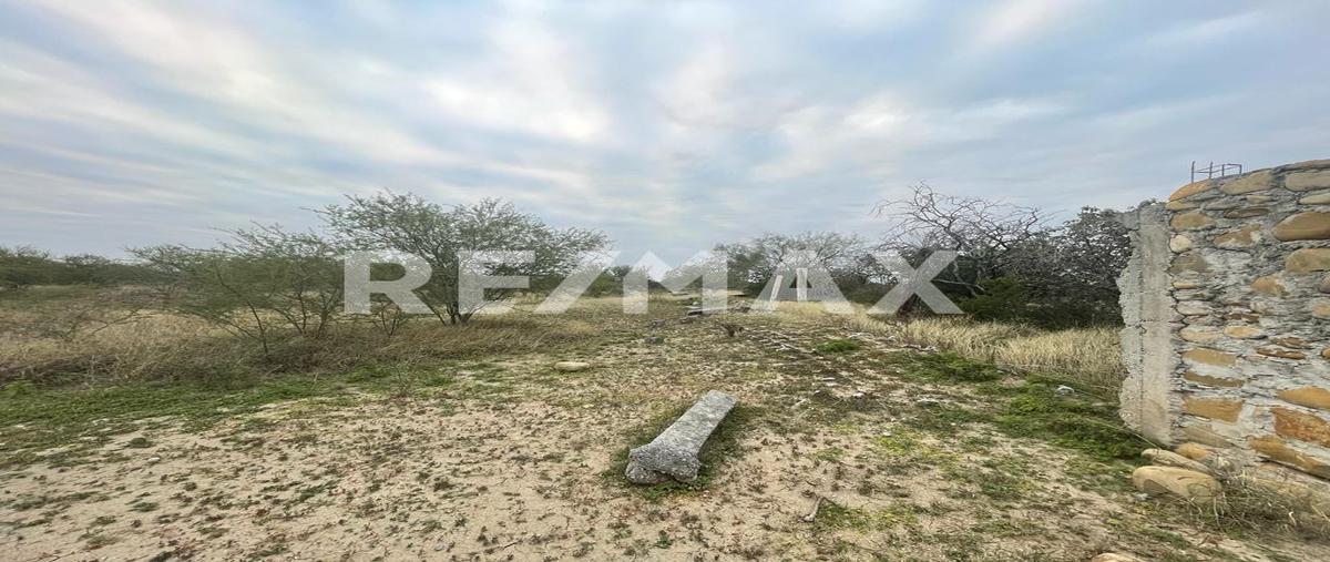 Foto de terreno comercial en venta en carretera a pueblo nuevo , dolores, cadereyta jiménez, nuevo león, 0 No. 03