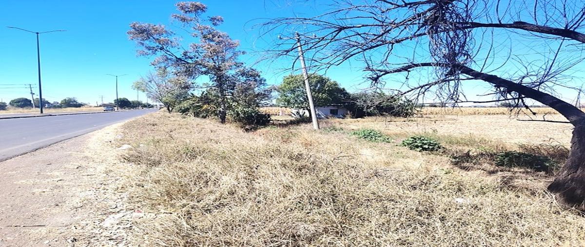 Foto de rancho en carretera a pueblo nuevo , pueblo nuevo, pueblo nuevo, guanajuato, 0 foto 03 Foto de rancho en venta en carretera a pueblo nuevo , pueblo nuevo, pueblo nuevo, guanajuato, 0 No. 03