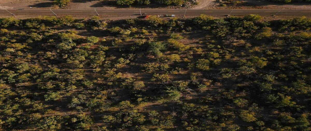 Foto de terreno habitacional en carretera a puerto escondido , nuevo loreto, loreto, baja california sur, 0 foto 03 Foto de terreno habitacional en venta en carretera a puerto escondido , nuevo loreto, loreto, baja california sur, 0 No. 03
