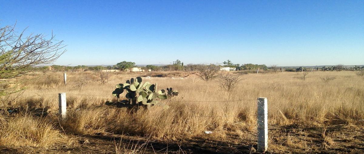 Foto de terreno habitacional en venta en carretera a qro. cruzando la entrada a jalpa , jalpa, san miguel de allende, guanajuato, 24710581 No. 04