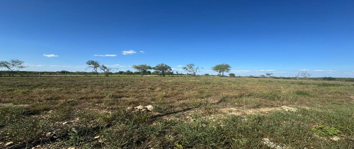Foto de terreno habitacional en carretera a. rayones kilometro , el pastor, montemorelos, nuevo león, 0 foto 02 Foto de terreno habitacional en venta en carretera a. rayones kilometro , el pastor, montemorelos, nuevo león, 0 No. 02